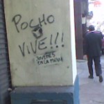 pocho1