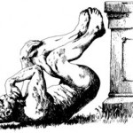 Los Premios Ig Nobel 2009